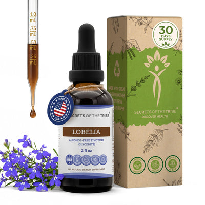 Compléments à base d'herbes diversifiés sur une table de bien-être naturel