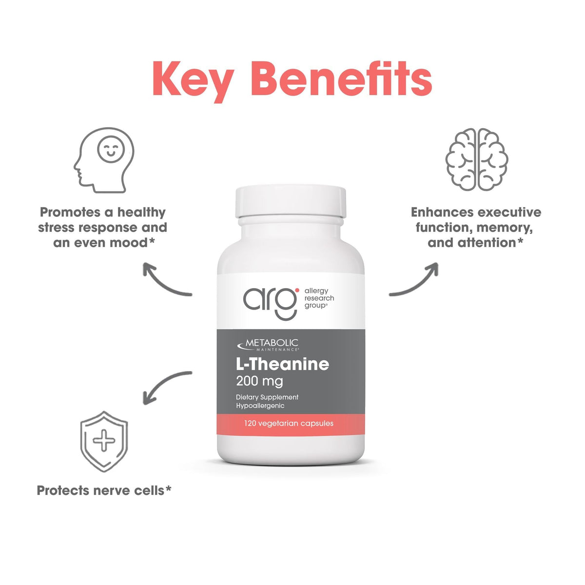 a balanced routine Maintenance L-Theanine packaging details