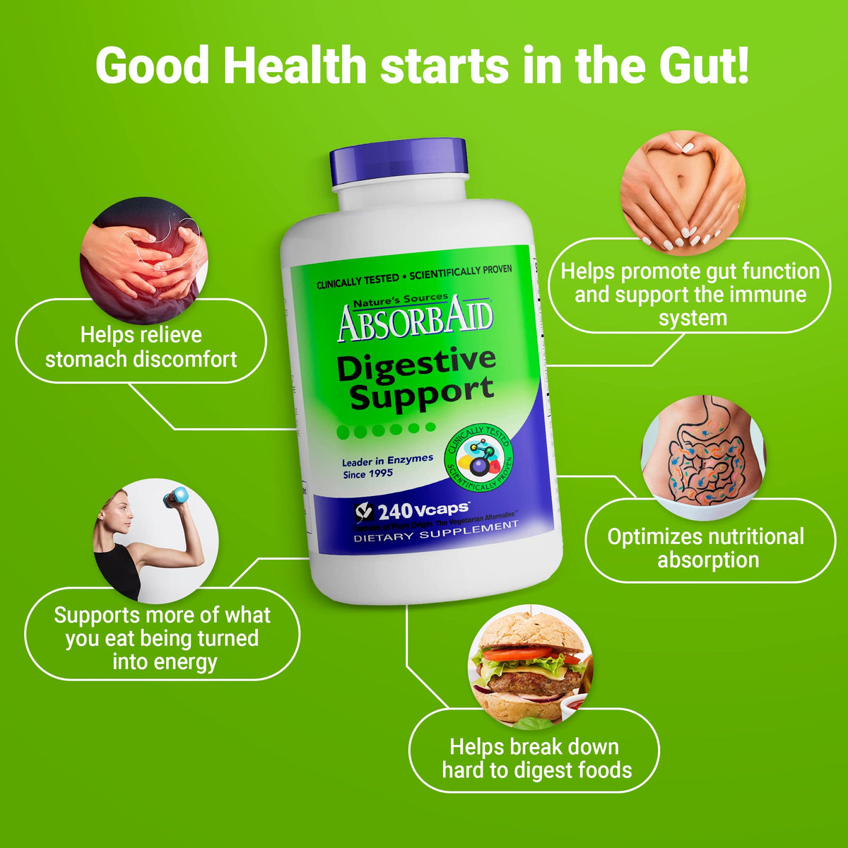 AbsorbAid Enzymes daily, gélules dans une cuillère