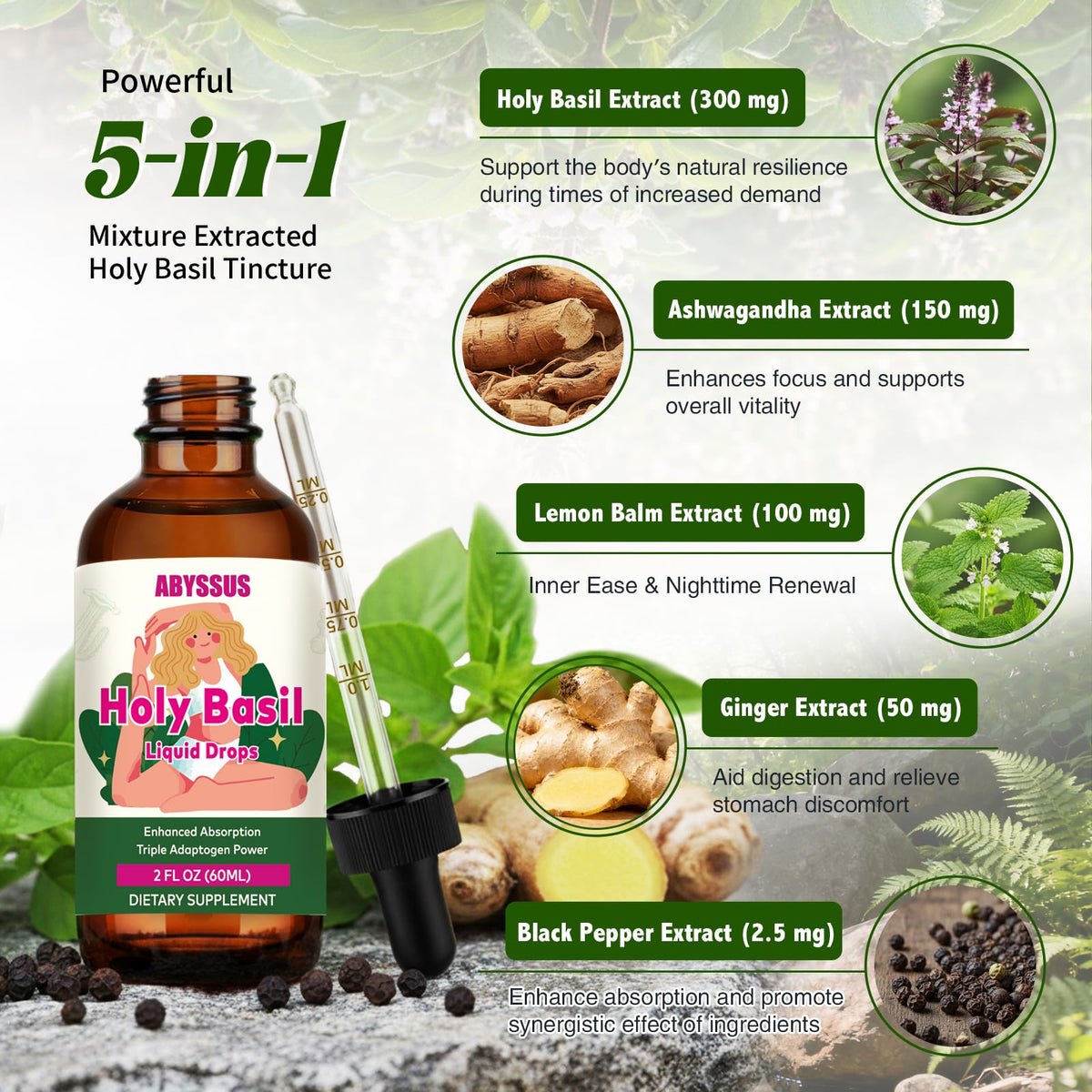 ABYSSUS Basilic Sacré 300mg flacon de 150g