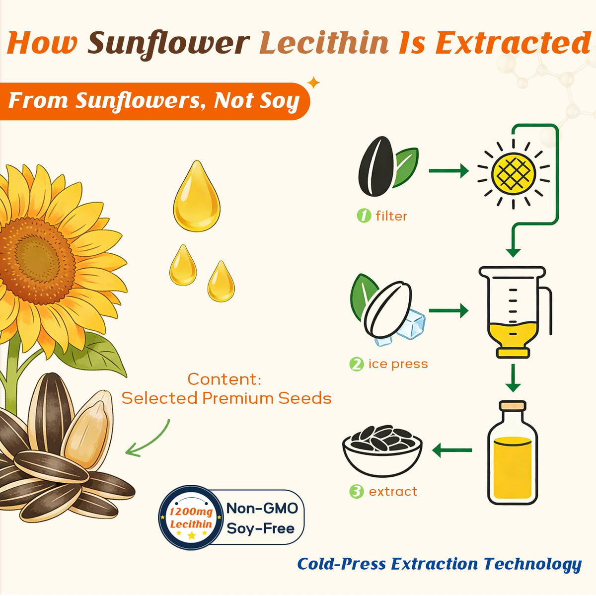 ABYSSUS Gélules de Lécithine de Tournesol 1200mg arrière