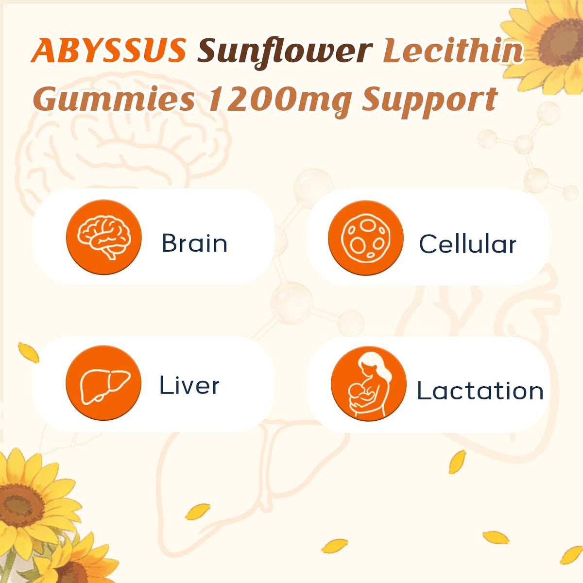 ABYSSUS Gélules de Lécithine de Tournesol 1200mg avec gummies
