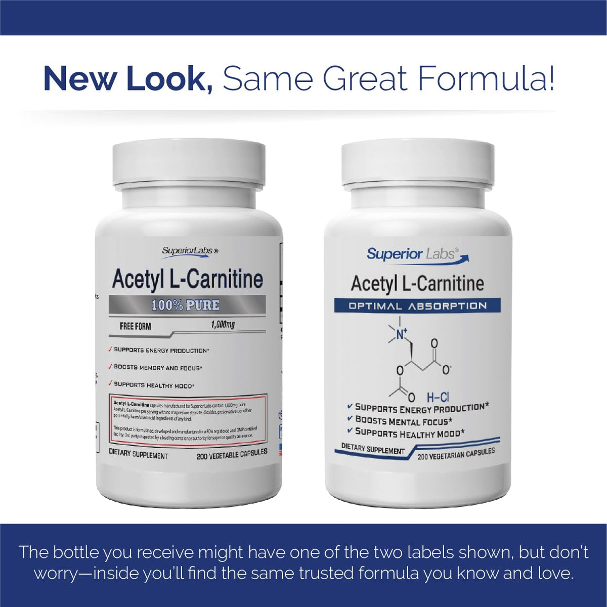 Acetyl L-Carnitine 500 mg sur un fond neutre