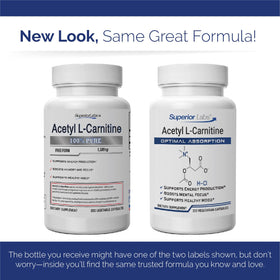 Acetyl L-Carnitine 500 mg sur un fond neutre