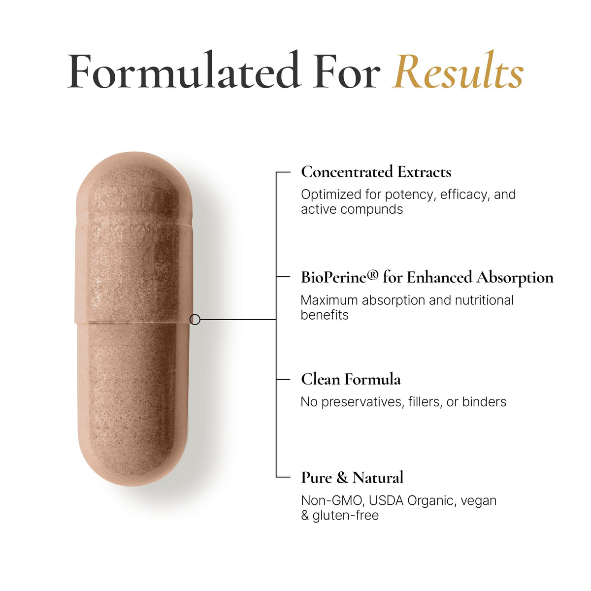 ACEWORKZ NeuroRoot Complément Alimentaire 10 Champignons - Capsules en gros plan