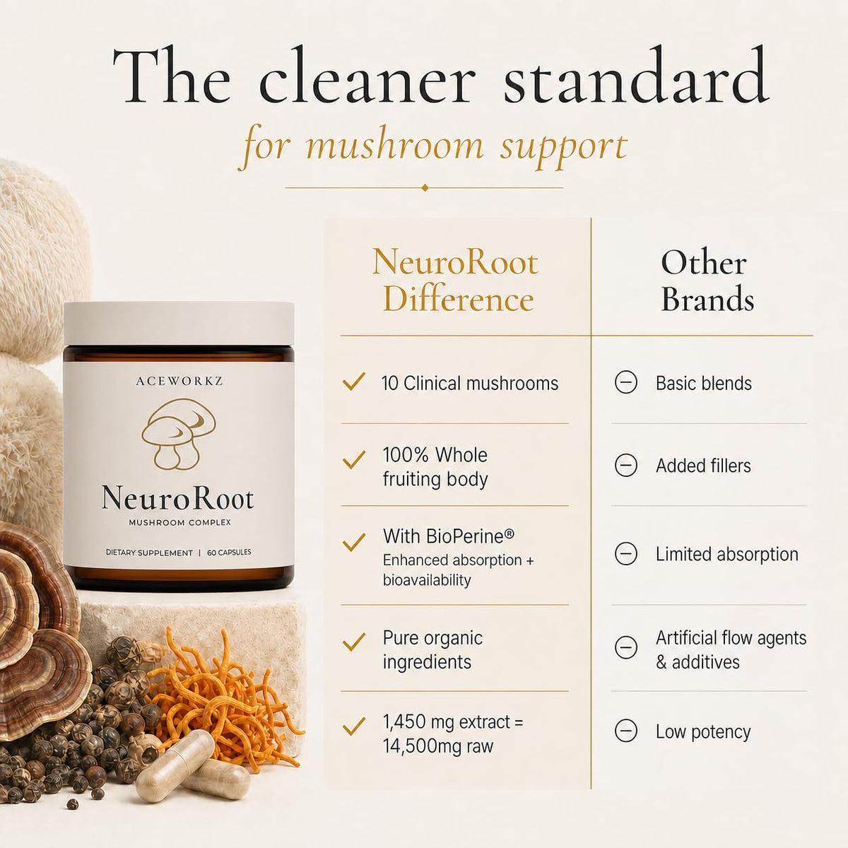 ACEWORKZ NeuroRoot Complément Alimentaire 10 Champignons - Capsules sur une surface