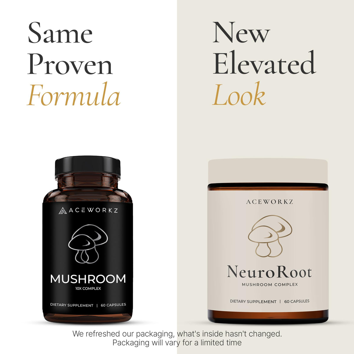 ACEWORKZ NeuroRoot Complément Alimentaire 10 Champignons - Détails des ingrédients