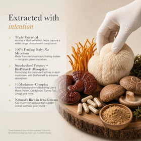 ACEWORKZ NeuroRoot Complément Alimentaire 10 Champignons - Vue arrière du flacon