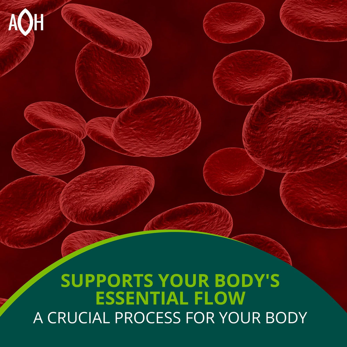 ADAPTOHEAL Circuheal Ginkgo Biloba capsules sur une table