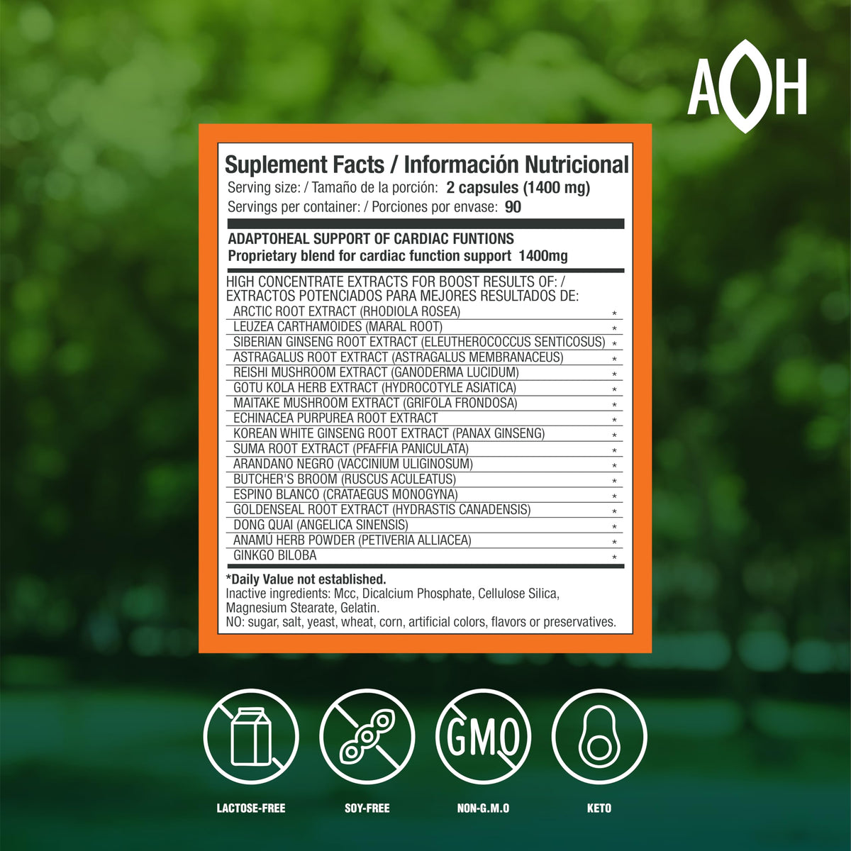 ADAPTOHEAL Circuheal Ginkgo Biloba capsules vue de près
