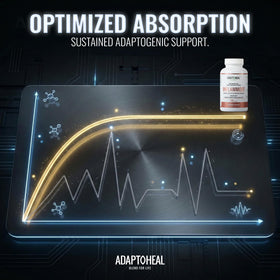ADAPTOHEAL Inflammoff capsules dans une main