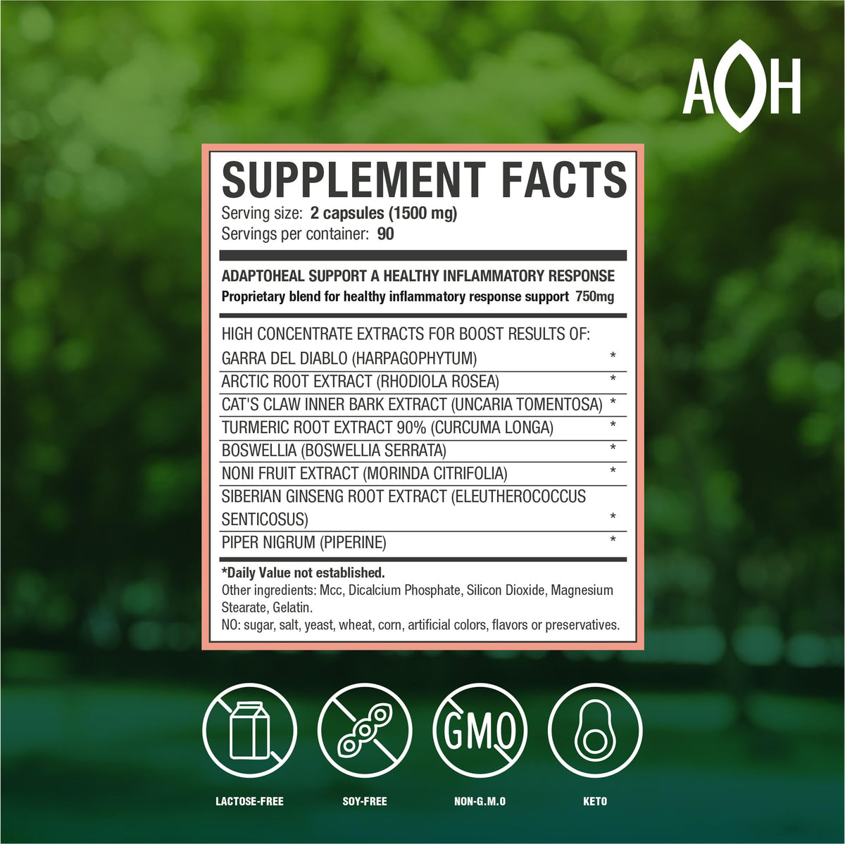 ADAPTOHEAL Inflammoff flacon avec capsules