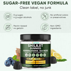 Adndale gummies Shilajit dans un bol