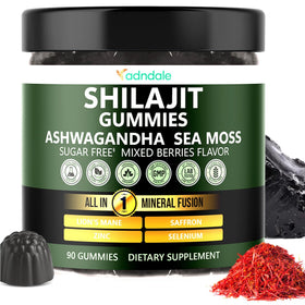 Adndale gummies Shilajit naturel Himalayen boîte de 90 gummies