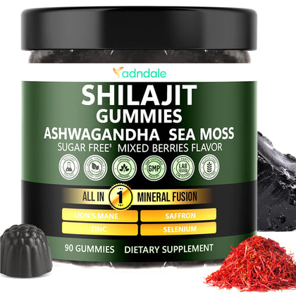 Adndale gummies Shilajit naturel Himalayen boîte de 90 gummies