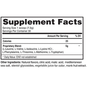 Advanced Bionutritionals Amino Powder packaging