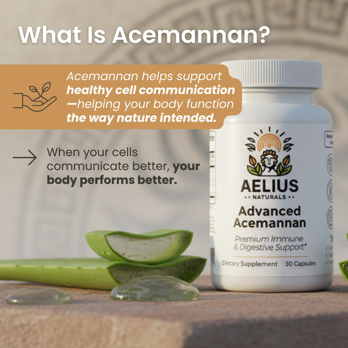 Aelius Naturals Aloe Vera Acemannan capsules sur une table