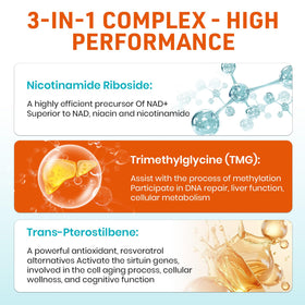 Aesticum Nicotinamide Riboside 2000mg ingrédients détaillés