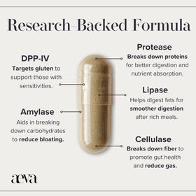 AEVA enzymes daily en gros plan sur la capsule