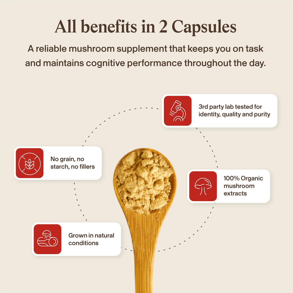 Affichage des capsules avec des herbes adaptogènes