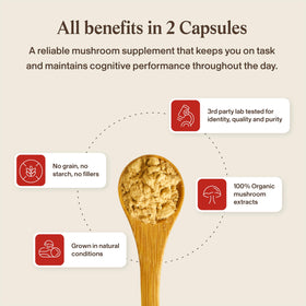 Affichage des capsules avec des herbes adaptogènes