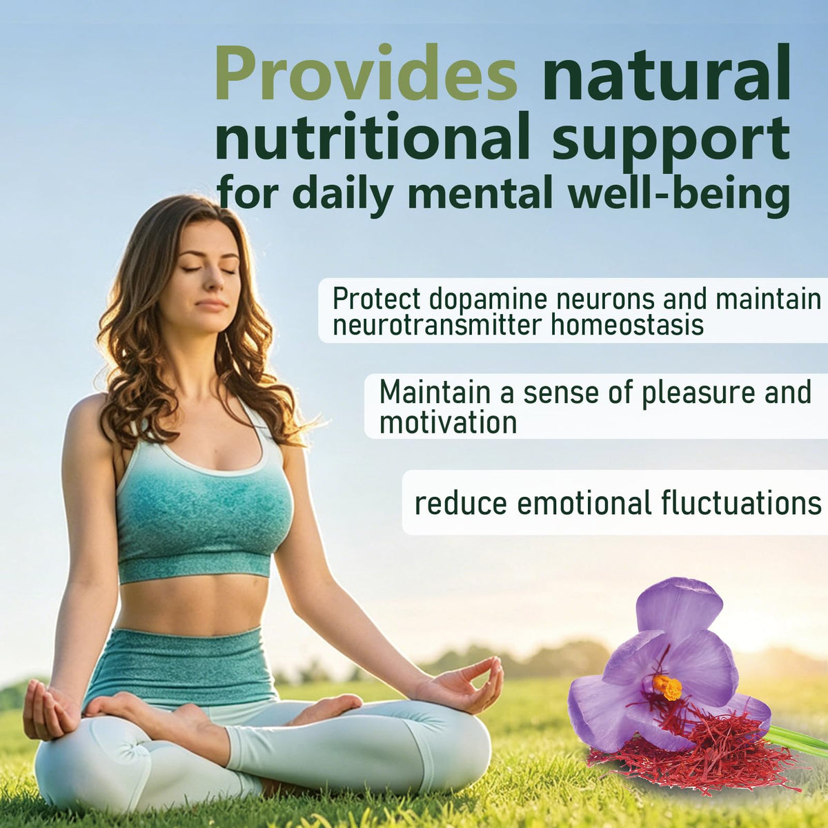 Affichage des ingrédients des capsules Lytavia Zafira Organics