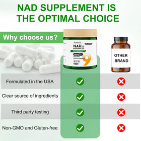 AIKEEDE Compléments Alimentaires NAD+ Liposomal 1400mg en milieu de vie