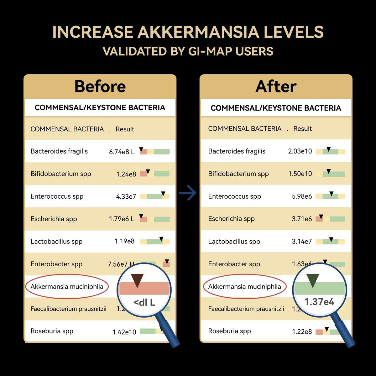 Akkermansia Probiotique Inner Brightness avec informations nutritionnelles