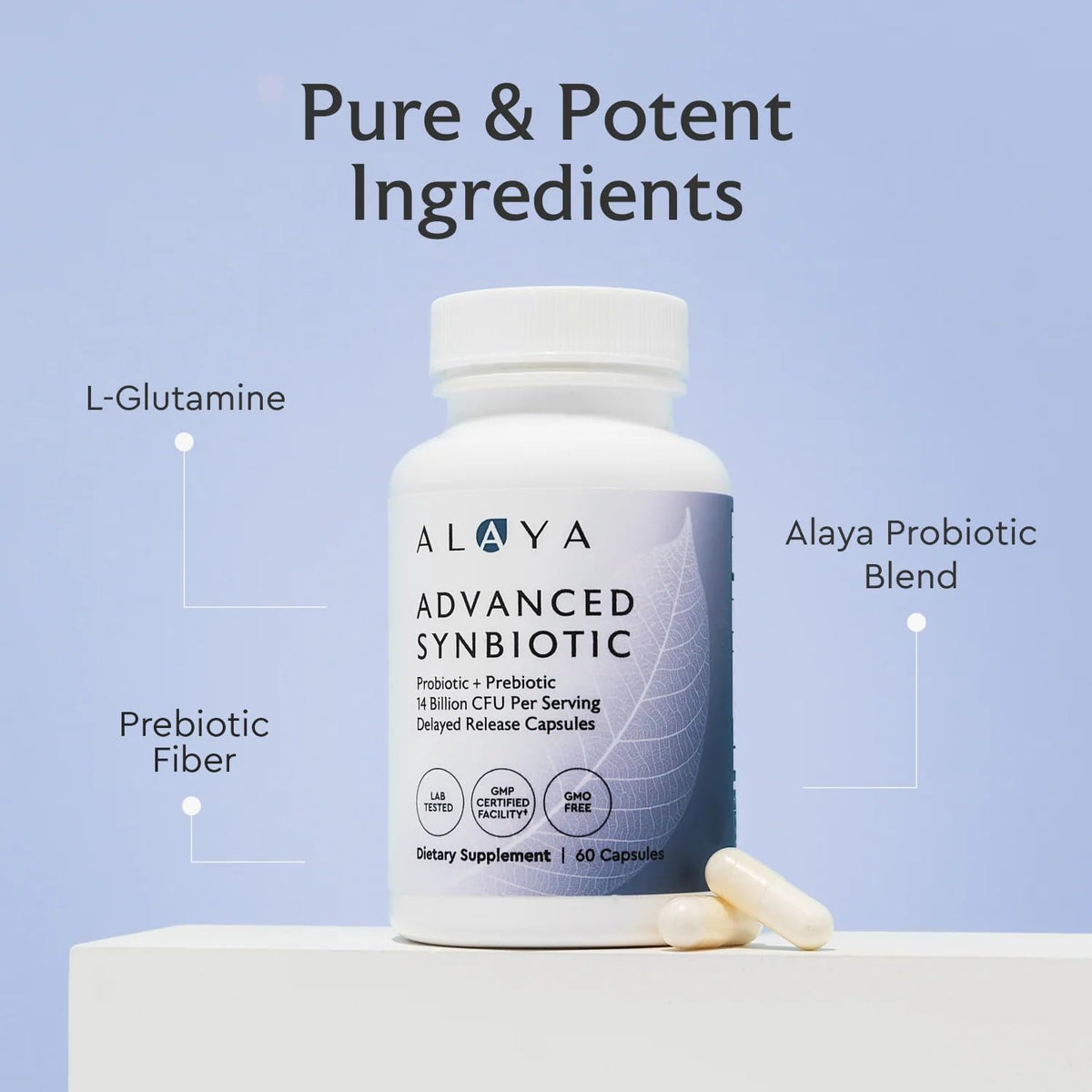Alaya Naturals Advanced Synbiotic capsules sur fond blanc