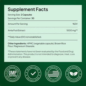 Alevia Amla Extrait 1000mg – Présentation du produit