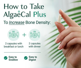 ALGAECAL Complément Alimentaire Calcium 720mg D3 K2 gélules sur fond blanc