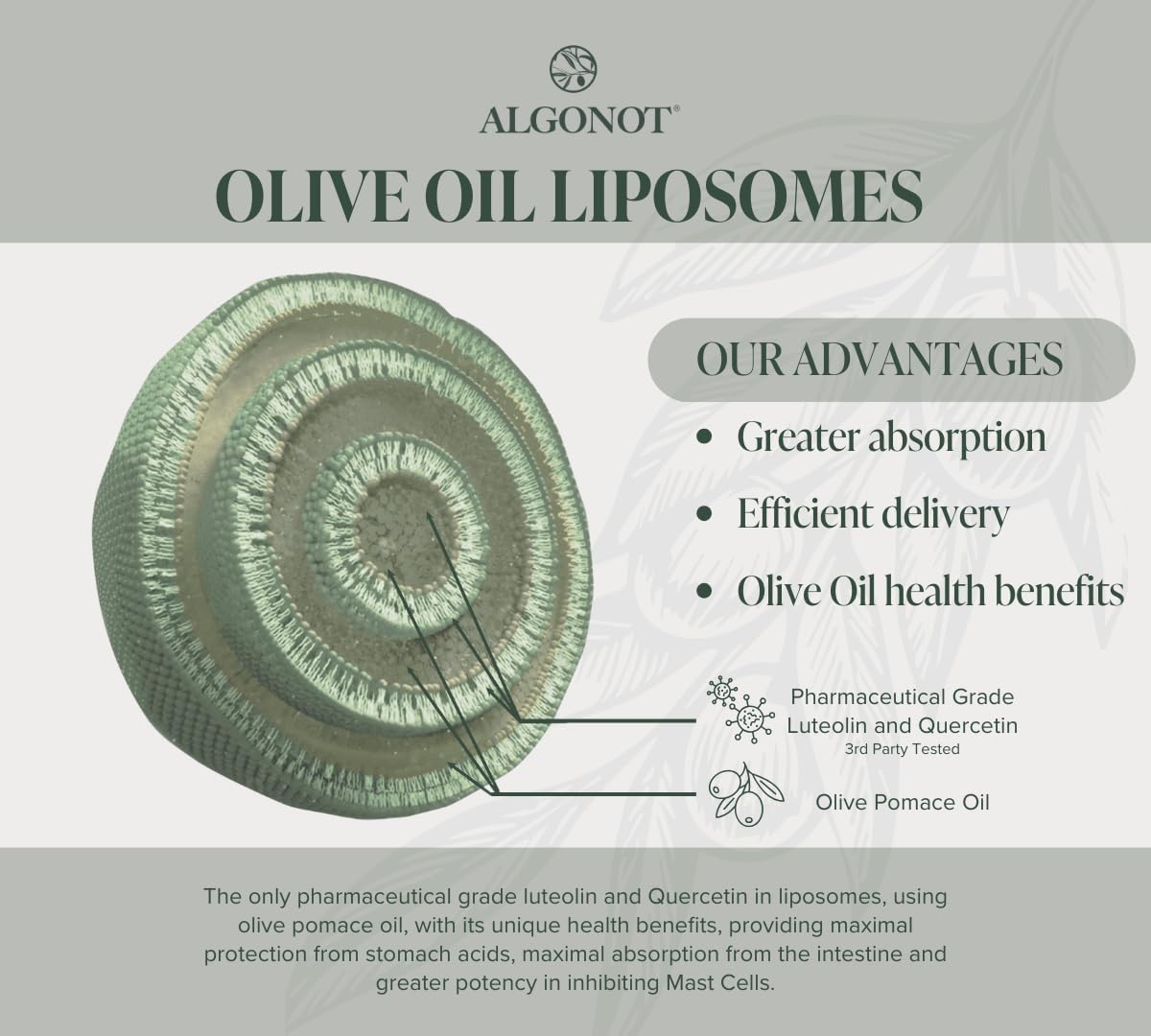 Algonot NeuroProtek® capsules sur un fond blanc