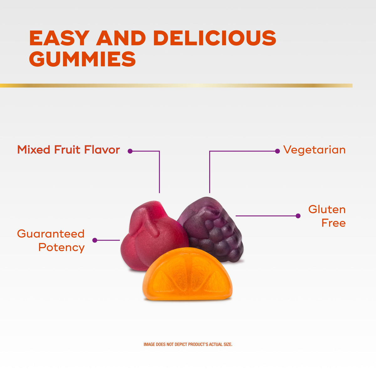Align Gummies Prébiotiques et Probiotiques, présentation des gummies sur une table