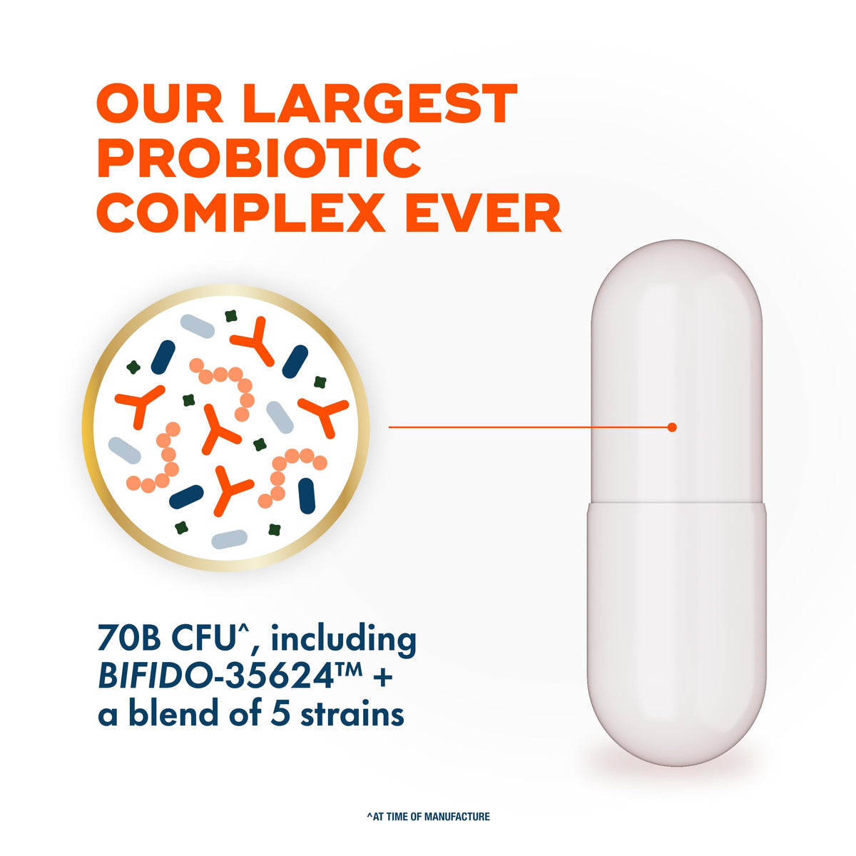 Align Probiotic 70 Milliards CFU 30 Capsules avec dosage