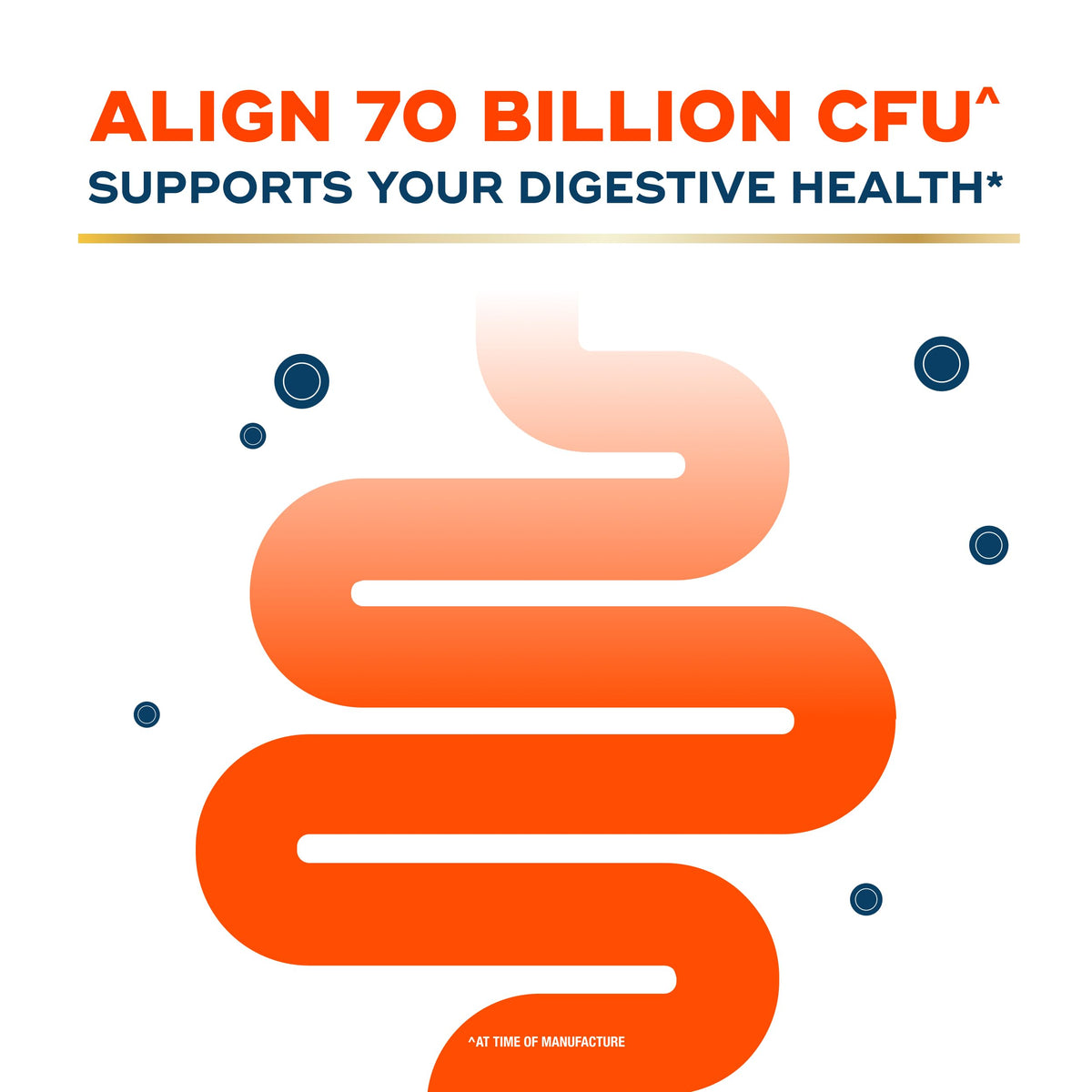 Align Probiotic 70 Milliards CFU 30 Capsules en situation