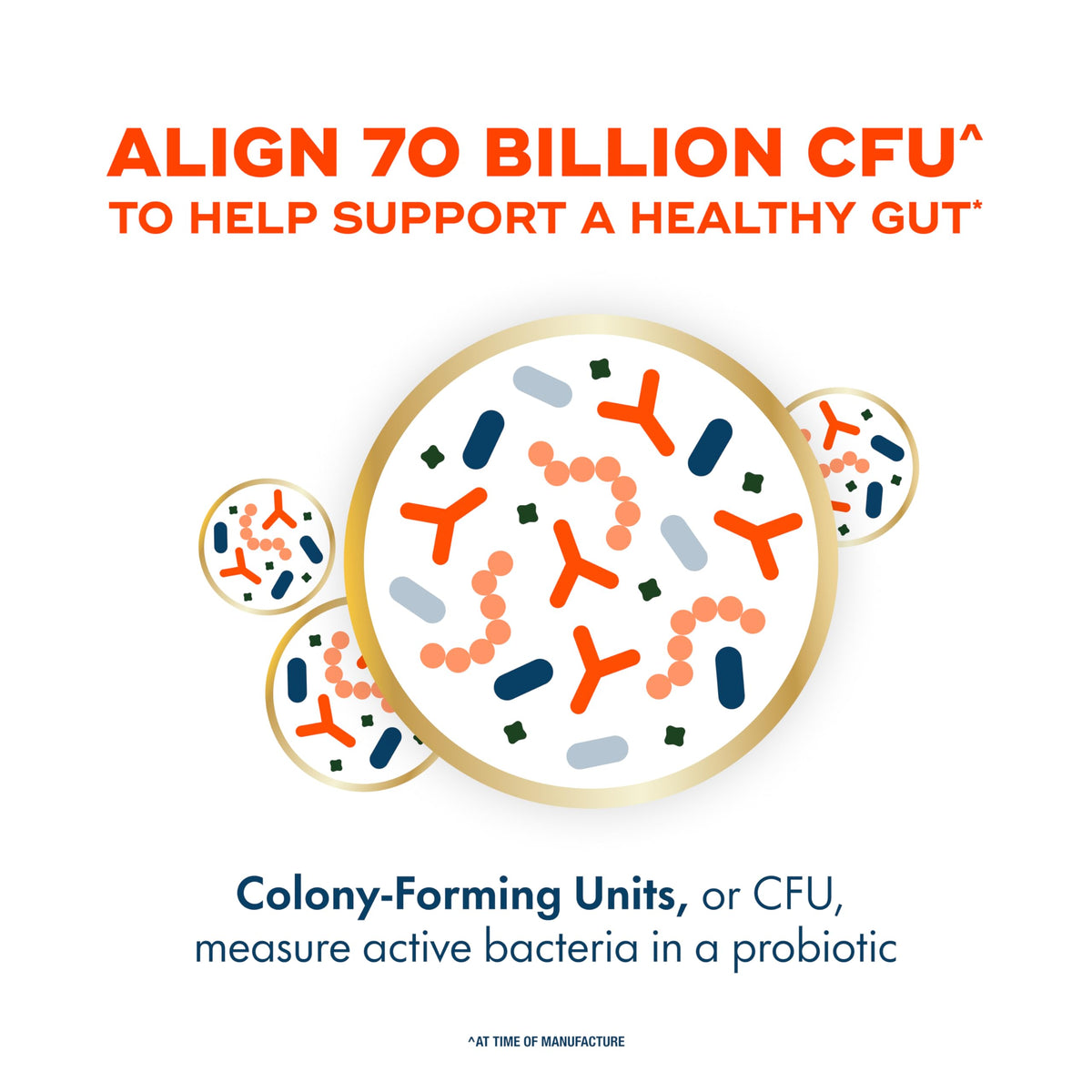 Align Probiotic 70 Milliards CFU 30 Capsules vue arrière