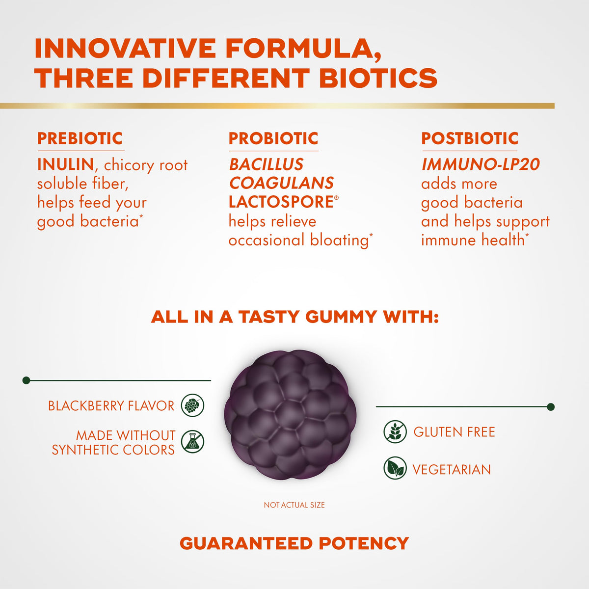 Align Probiotic Gummies 3-en-1 arrière de la boîte