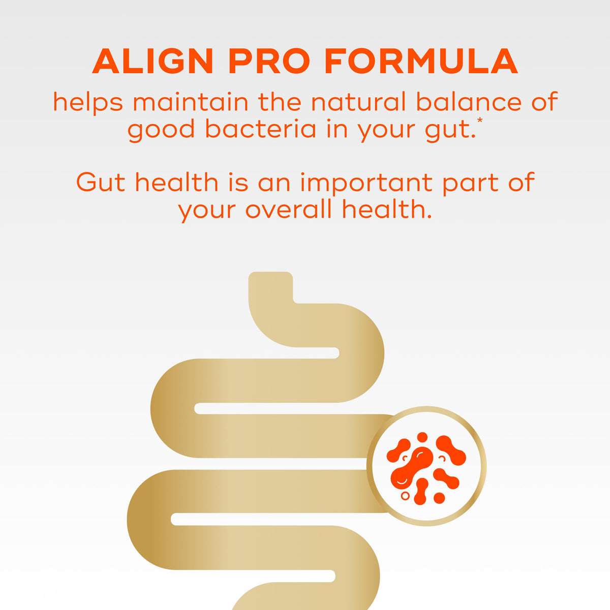 Align Probiotic Pro Formula side view