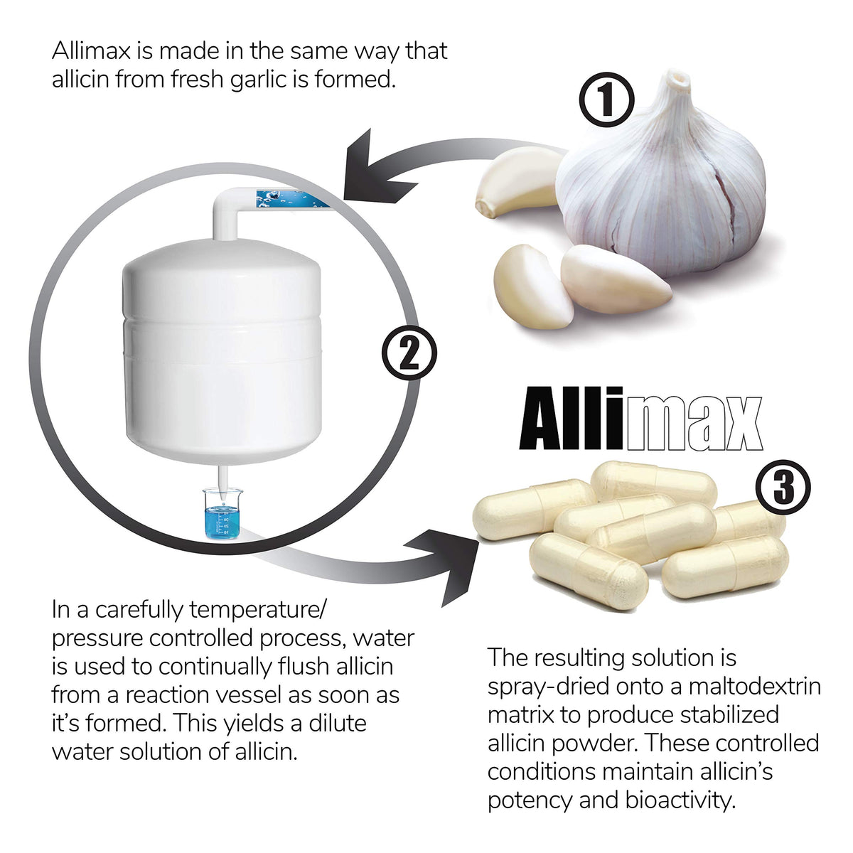 ALLIMAX 450 mg Allicine 100 Capsules Végétariennes - présentation sur fond blanc