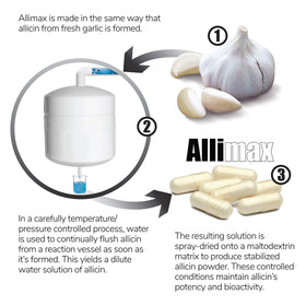 ALLIMAX 450 mg Allicine 100 Capsules Végétariennes - présentation sur fond blanc