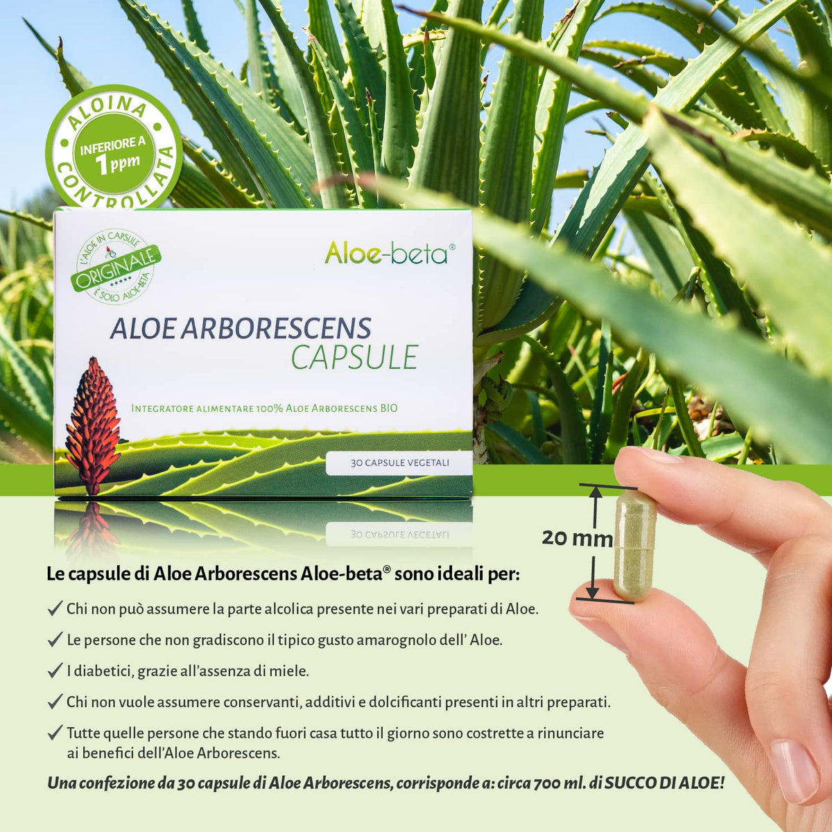 Aloe-beta Aloe Arborescens capsules avec une main tenant une capsule
