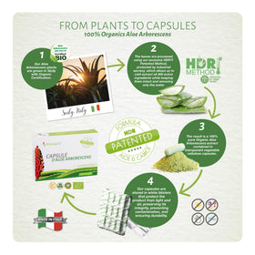 Aloe-beta Aloe Arborescens capsules avec une tasse d'eau