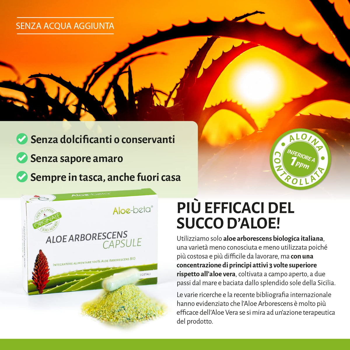 Aloe-beta Aloe Arborescens capsules en gros plan sur une surface blanche