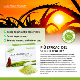 Aloe-beta Aloe Arborescens capsules en gros plan sur une surface blanche