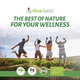 Aloe-beta Aloe Arborescens capsules ouvertes montrant la taille des capsules
