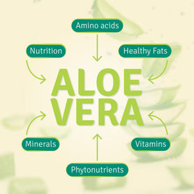Aloe Life Jus d'Aloe Vera Entier Bio avec verre