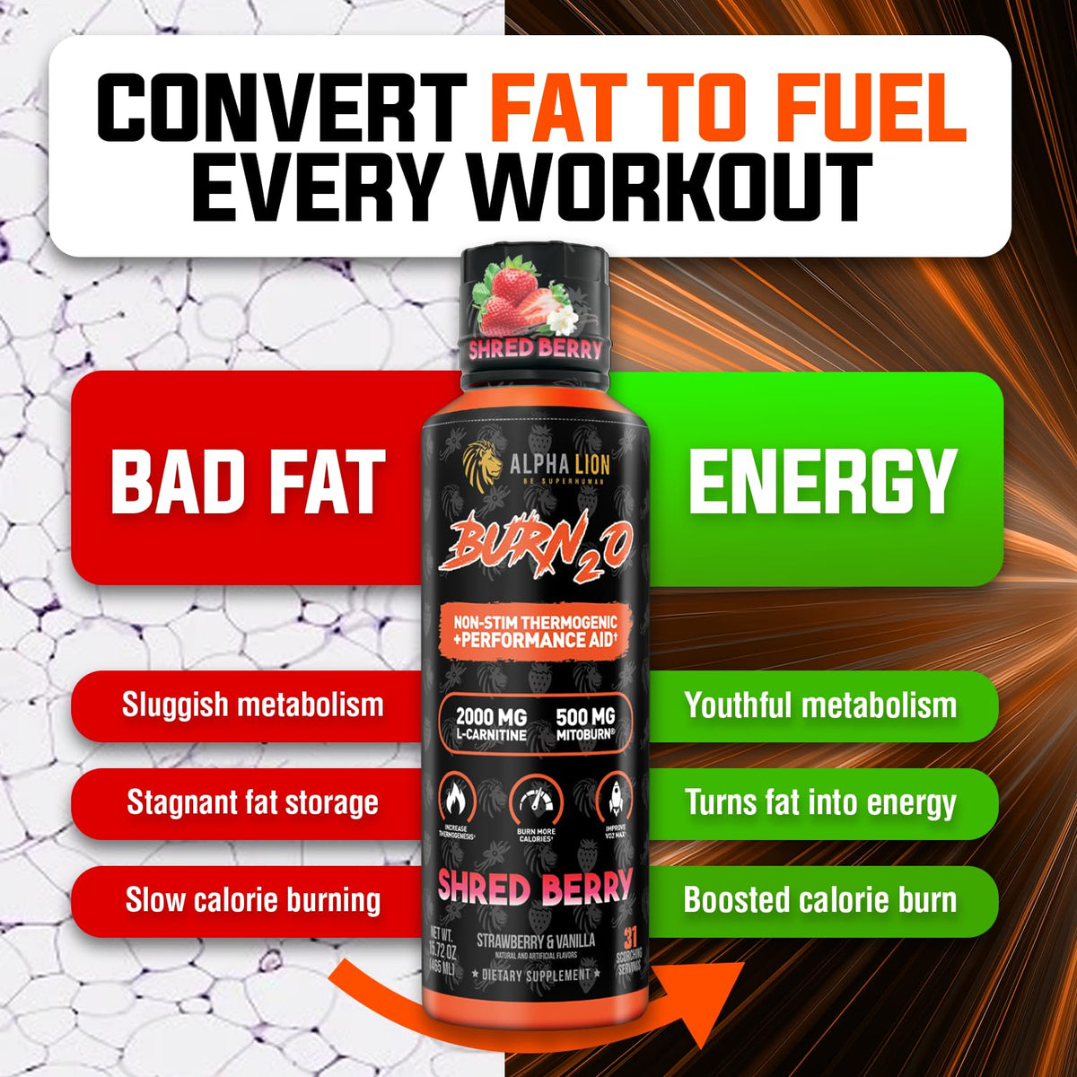 ALPHA LION Burn2O L-Carnitine Liquide 2000mg avec une cuillère