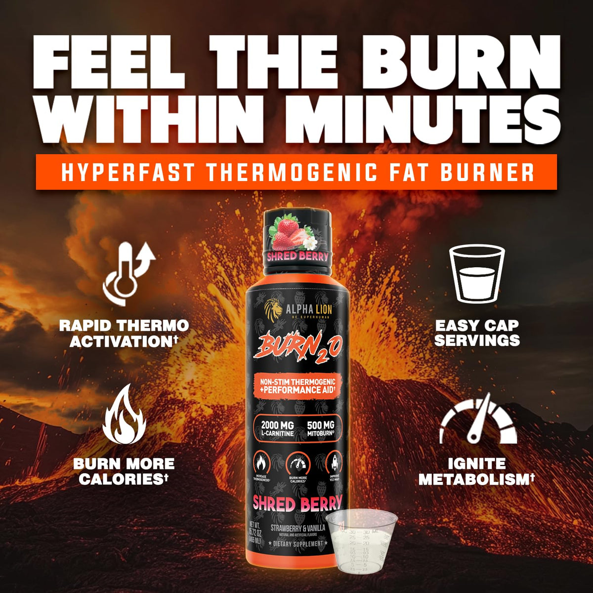 ALPHA LION Burn2O L-Carnitine Liquide 2000mg emballage