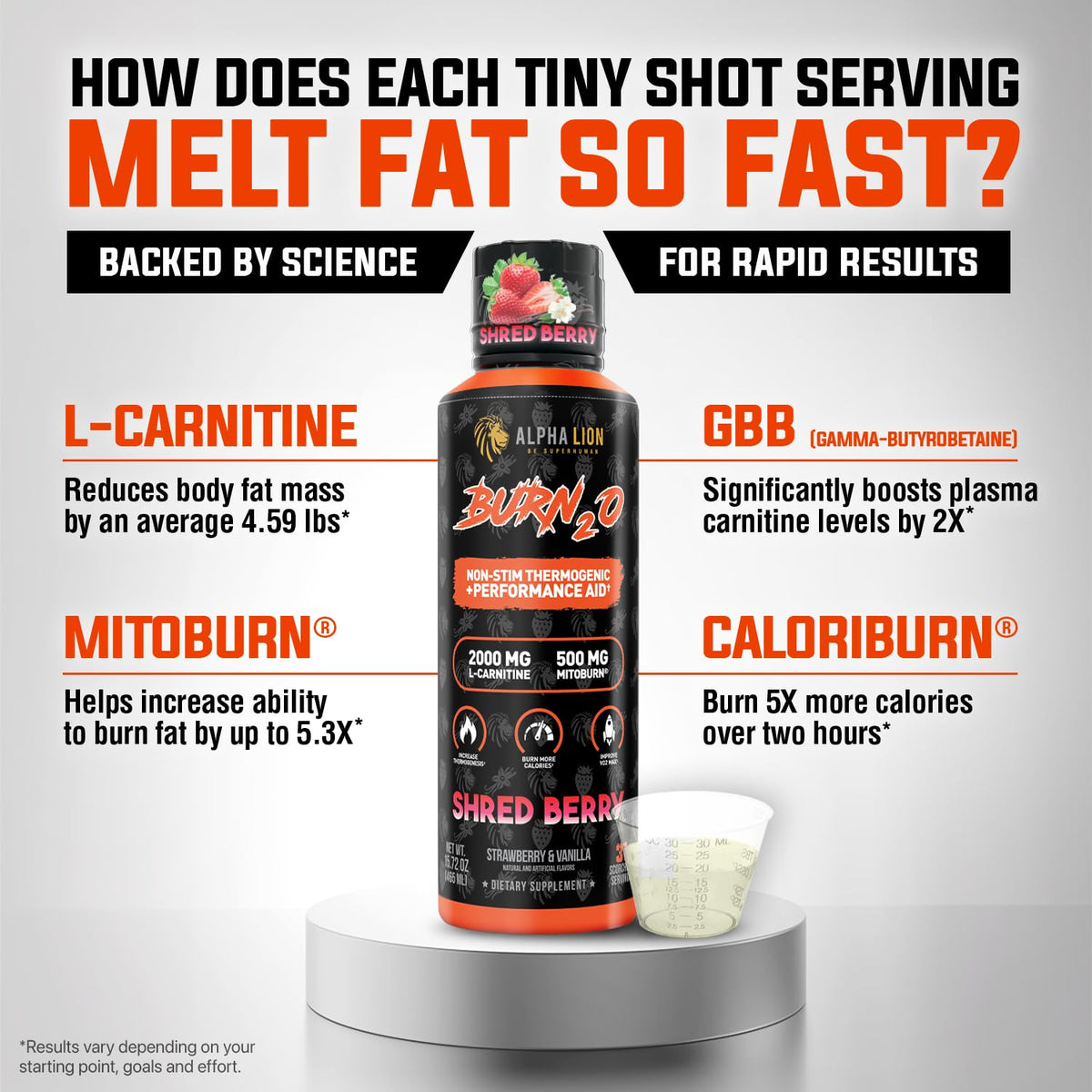 ALPHA LION Burn2O L-Carnitine Liquide 2000mg sur une table