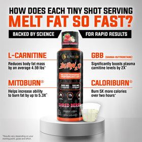ALPHA LION Burn2O L-Carnitine Liquide 2000mg sur une table